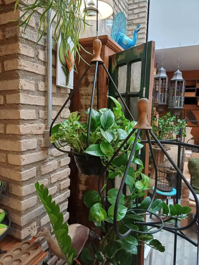 Floreira de teto em ferro e madeira Grande